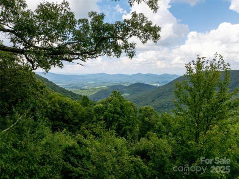 99999 Billy Cove Road Candler NC 28715