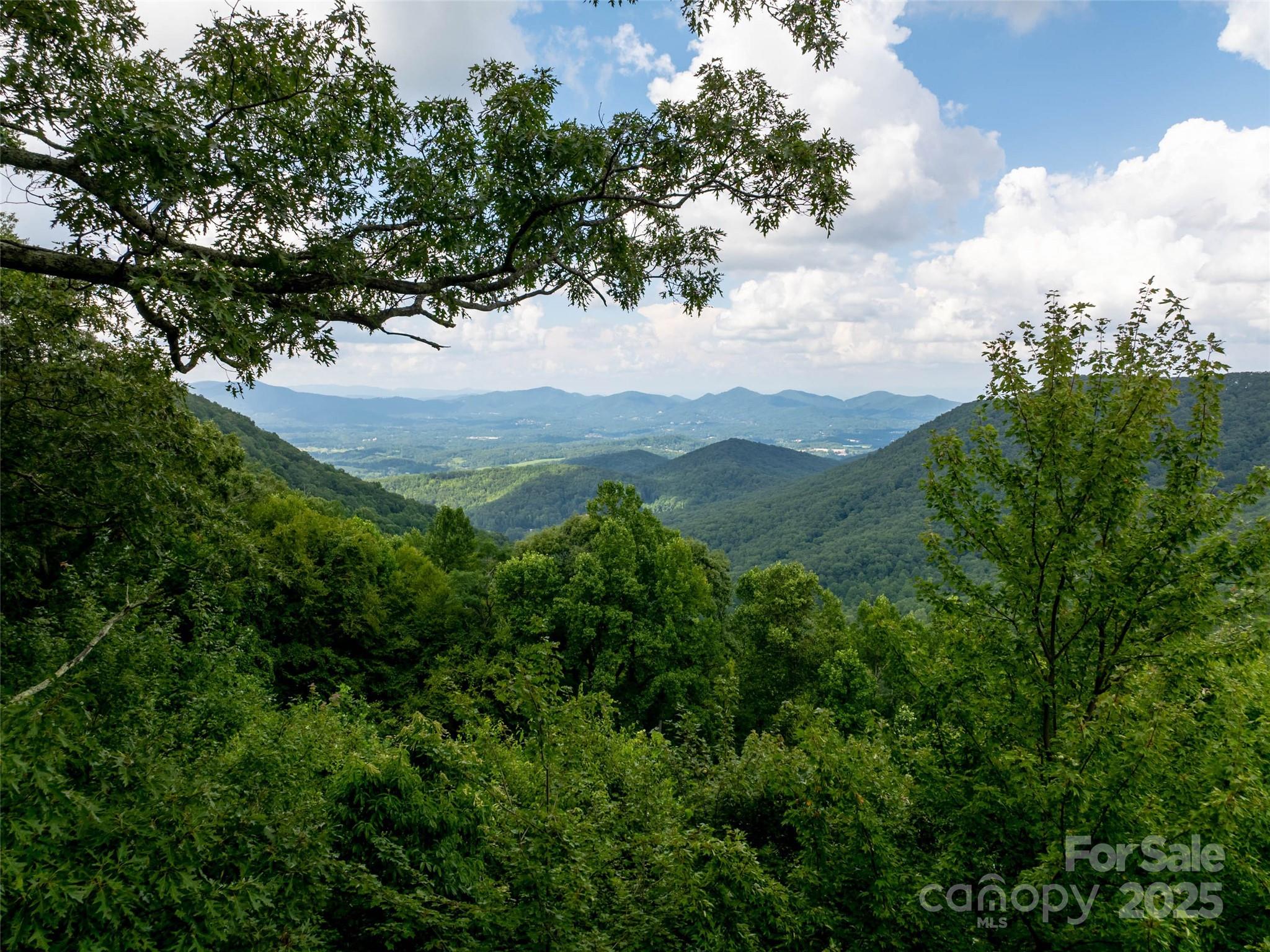 99999 Billy Cove Road Candler NC 28715
