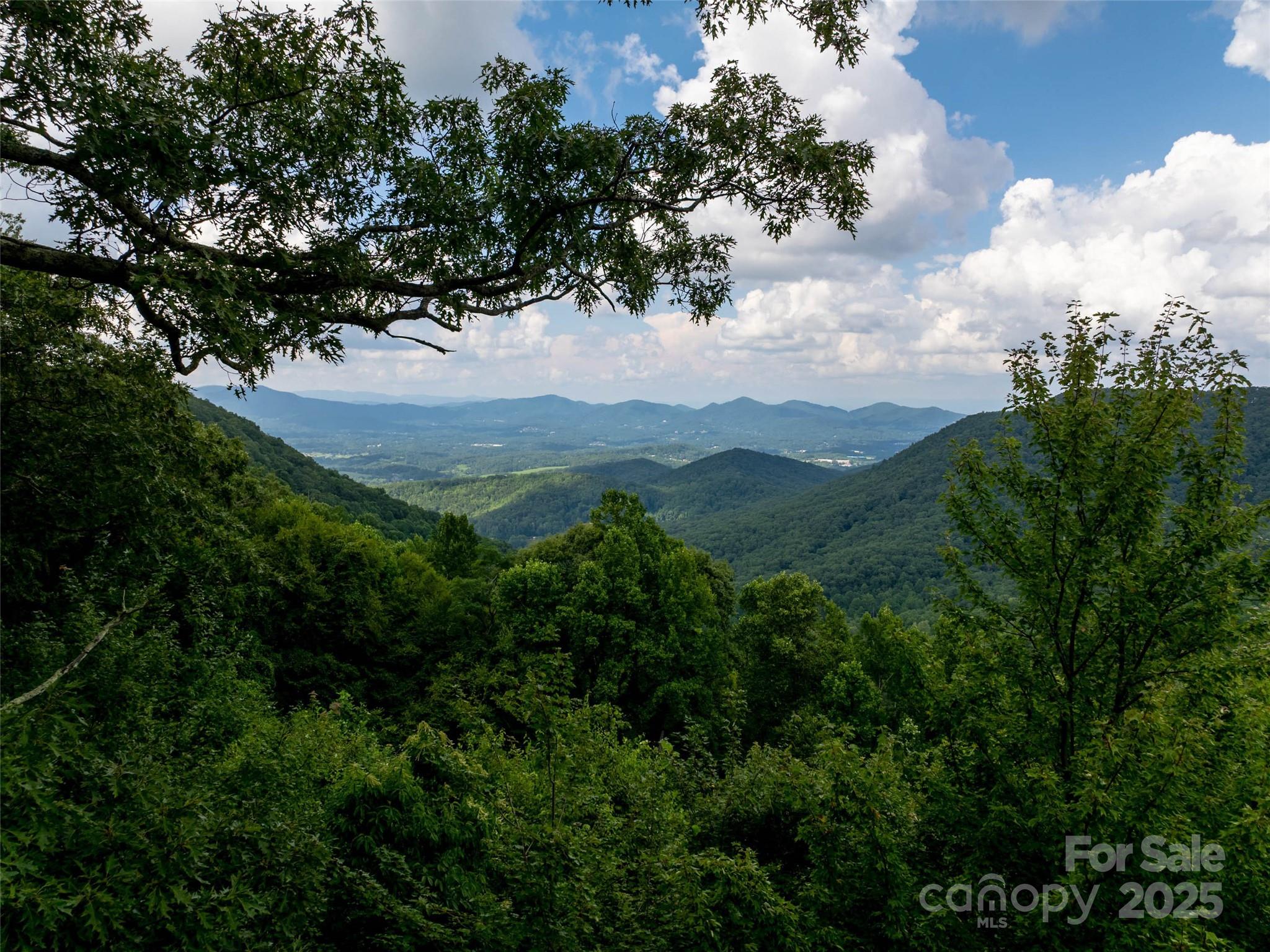 99999 Billy Cove Road Candler NC 28715