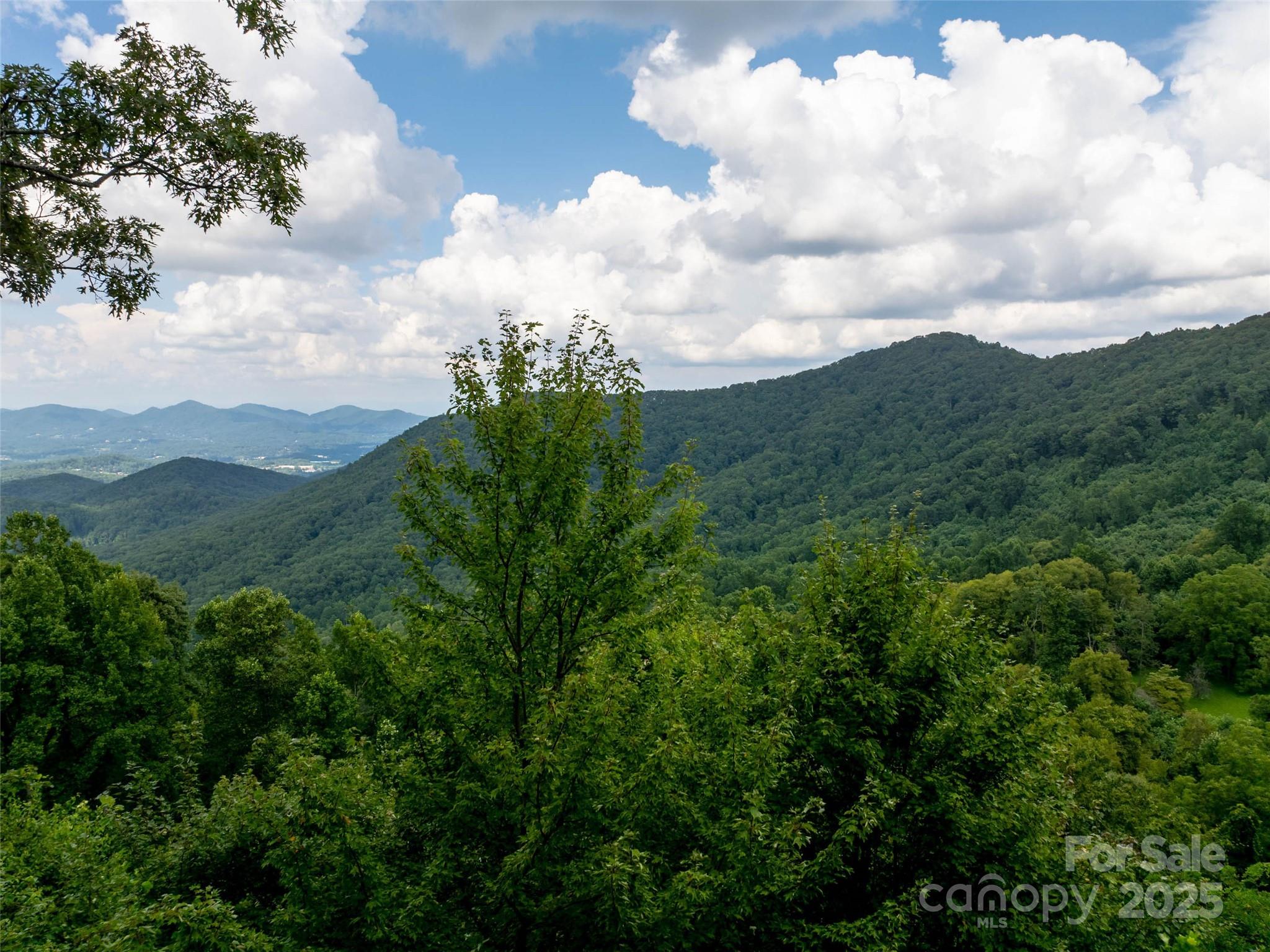 99999 Billy Cove Road Candler NC 28715