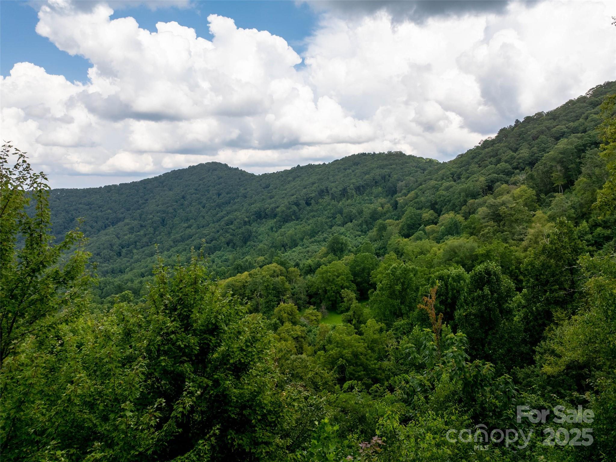 99999 Billy Cove Road Candler NC 28715
