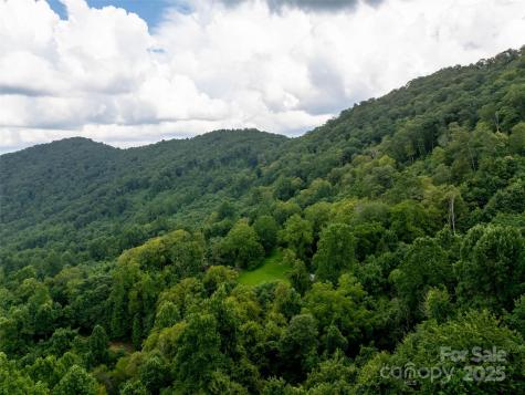 99999 Billy Cove Road Candler NC 28715