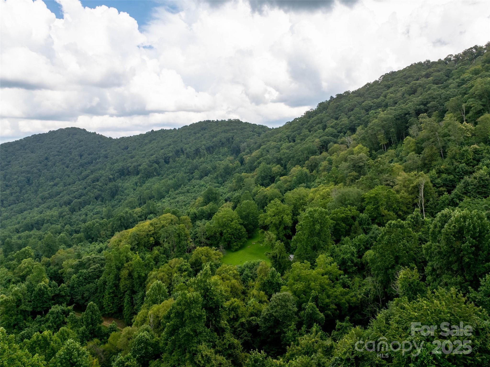 99999 Billy Cove Road Candler NC 28715