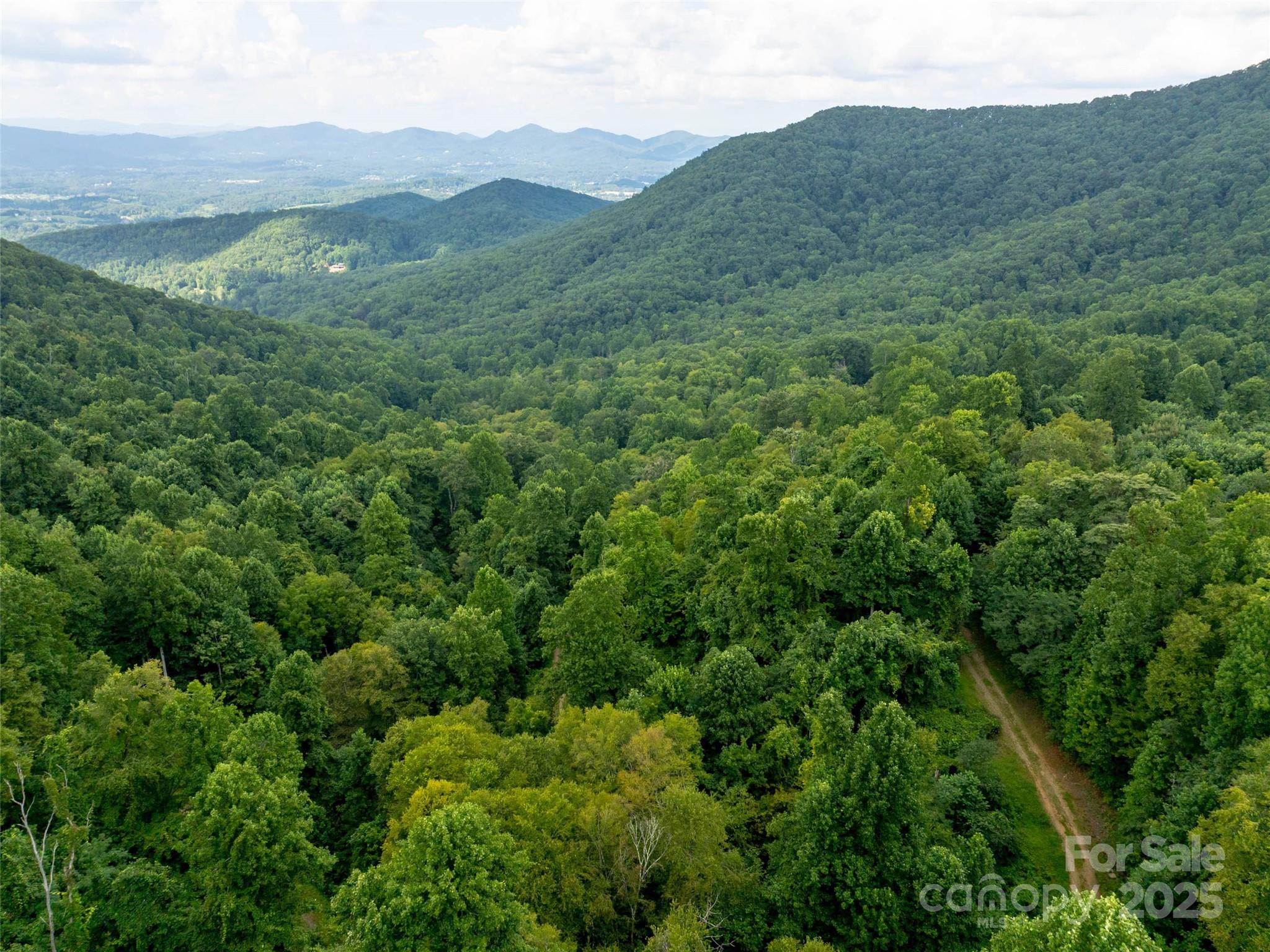 99999 Billy Cove Road Candler NC 28715
