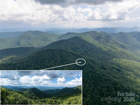 99999 Billy Cove Road Candler NC 28715