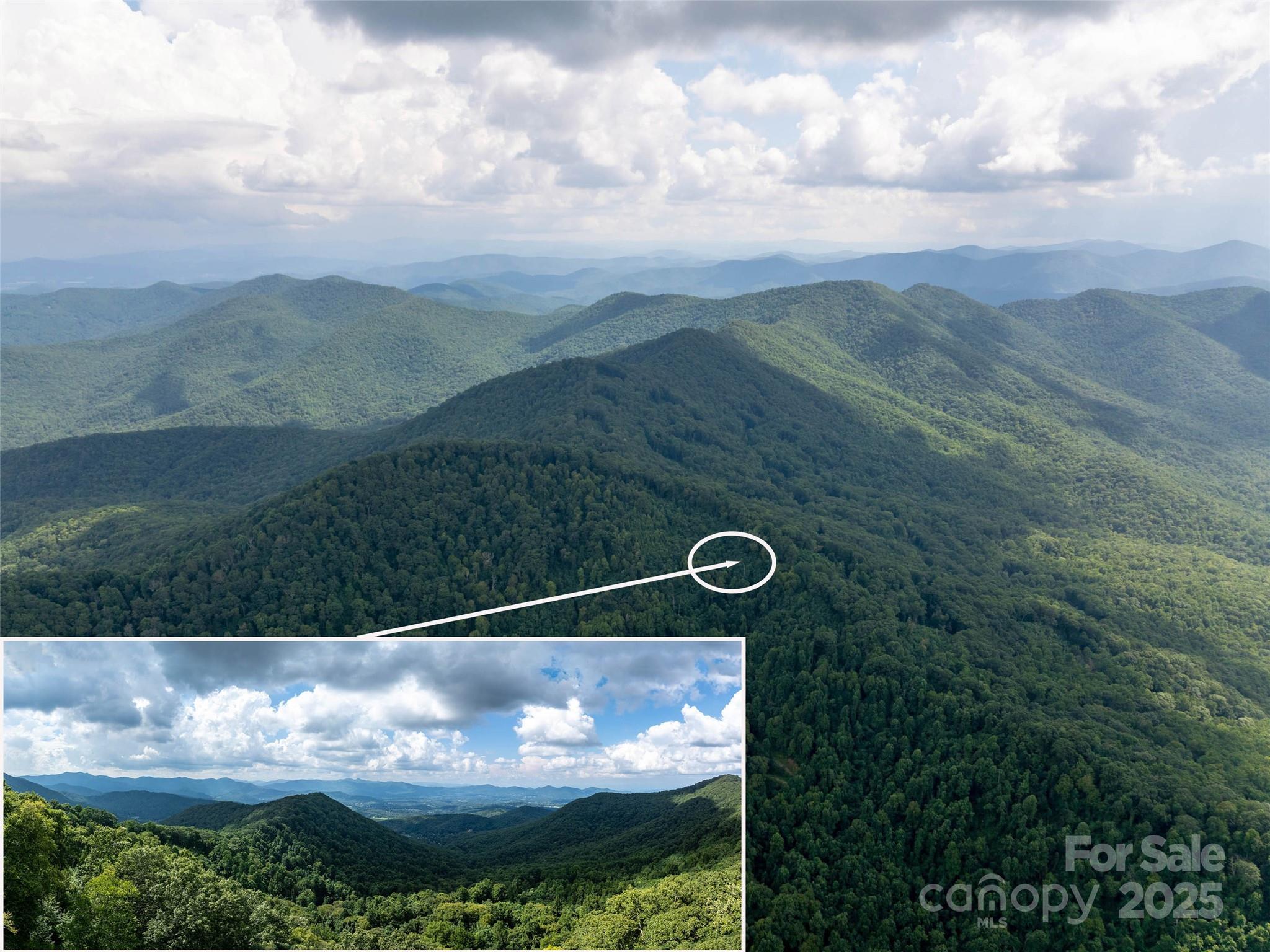 99999 Billy Cove Road Candler NC 28715