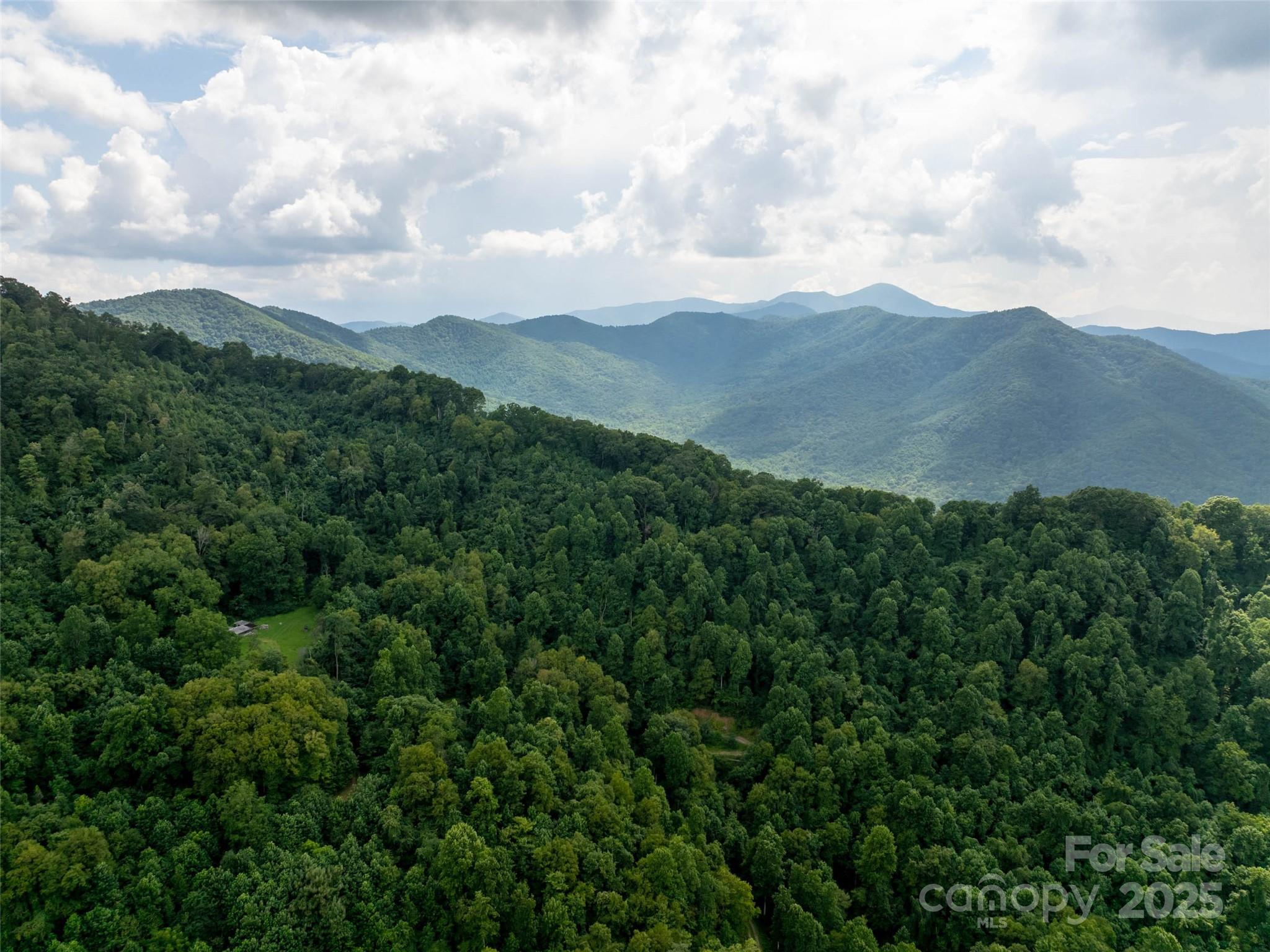 99999 Billy Cove Road Candler NC 28715