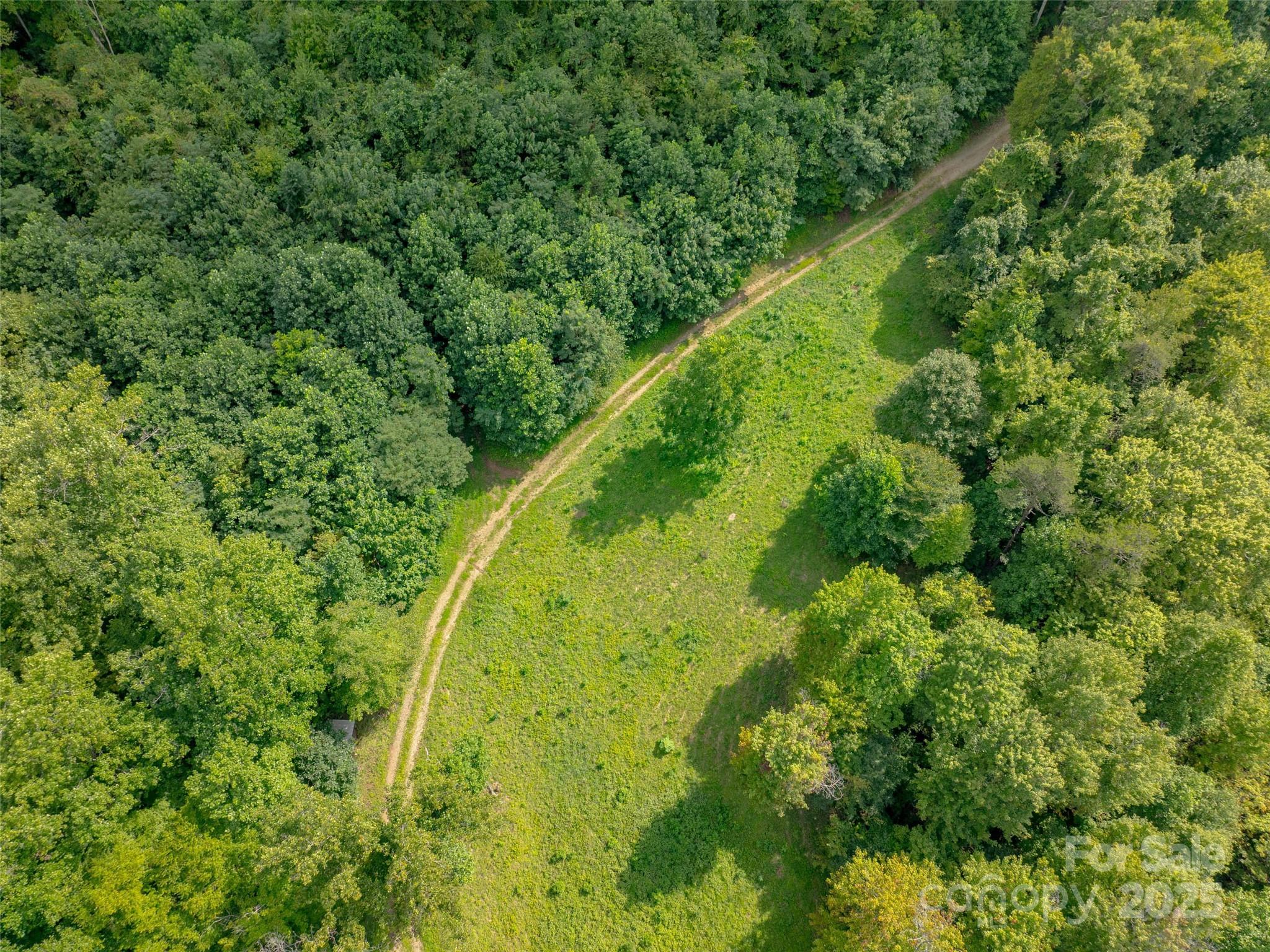 99999 Billy Cove Road Candler NC 28715