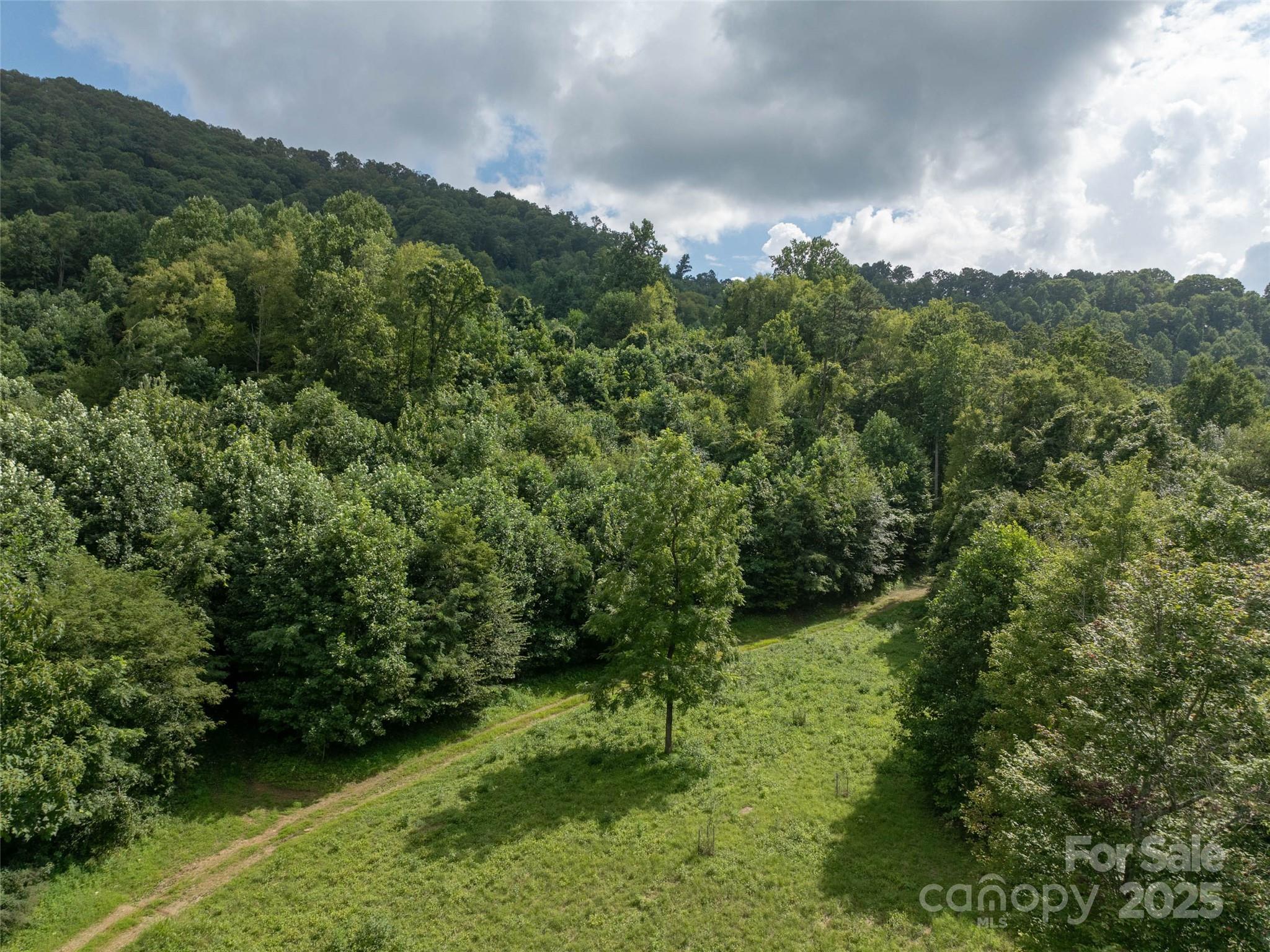 99999 Billy Cove Road Candler NC 28715
