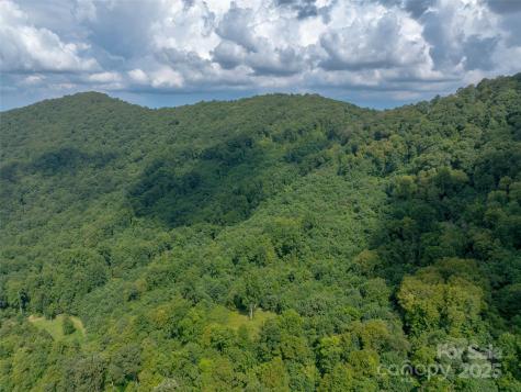 99999 Billy Cove Road Candler NC 28715