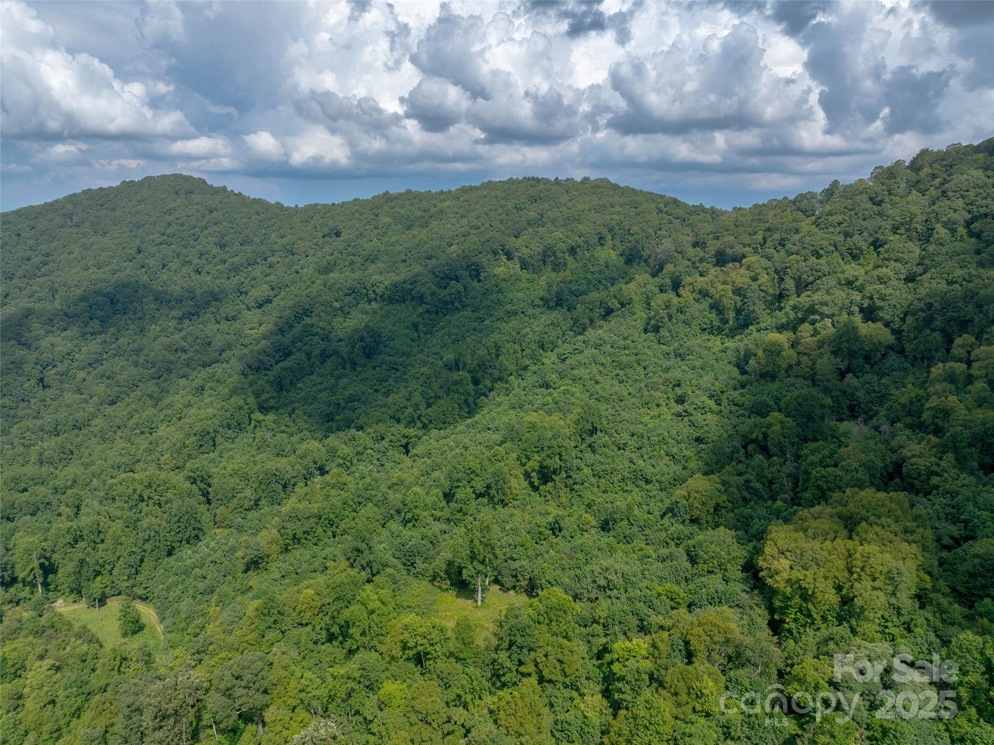 99999 Billy Cove Road Candler NC 28715