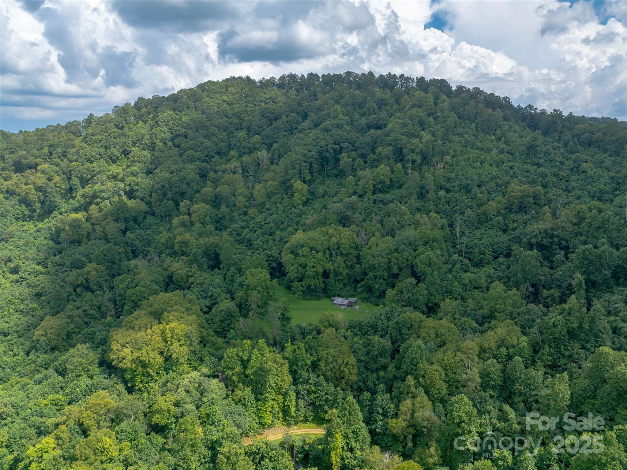 99999 Billy Cove Road Candler NC 28715