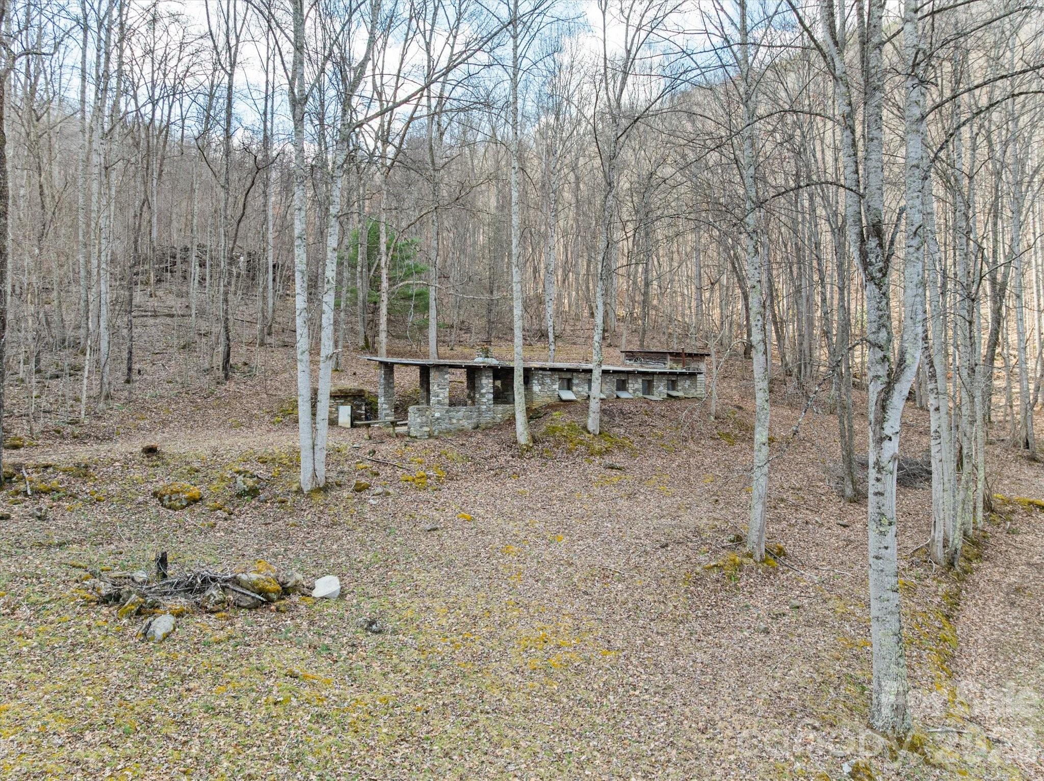 140 Wild Mountain Lane Barnardsville NC 28709