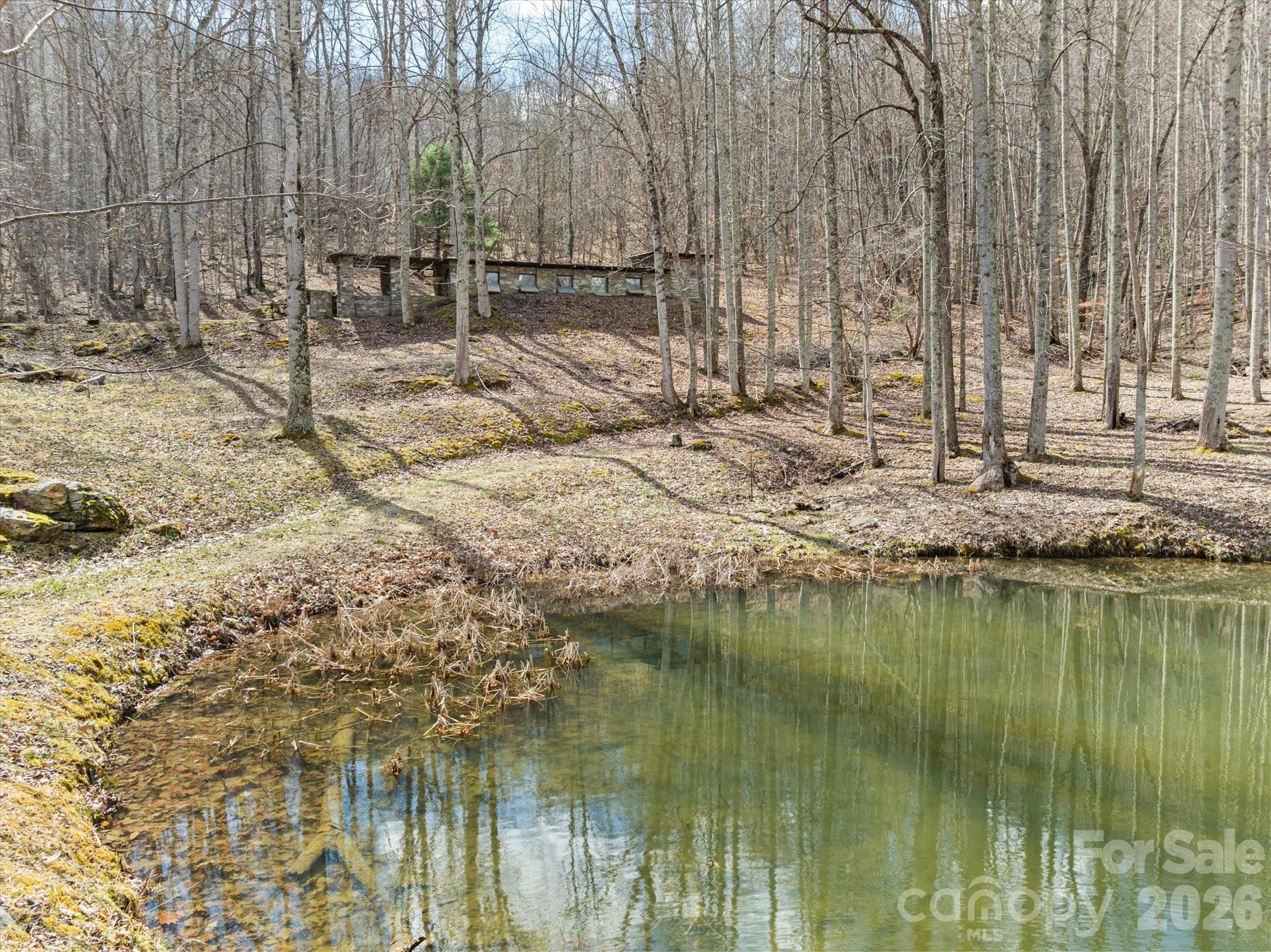140 Wild Mountain Lane Barnardsville NC 28709