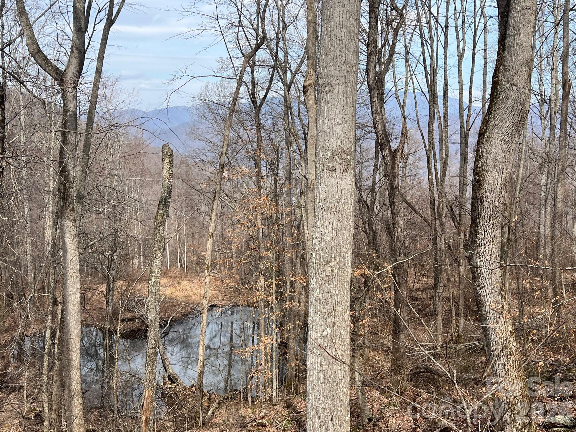 140 Wild Mountain Lane Barnardsville NC 28709