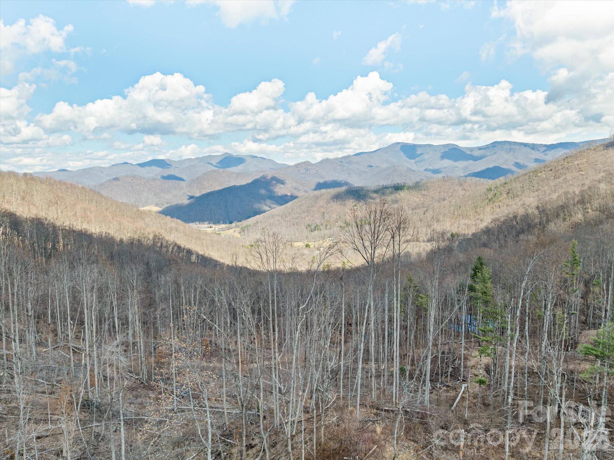 140 Wild Mountain Lane Barnardsville NC 28709