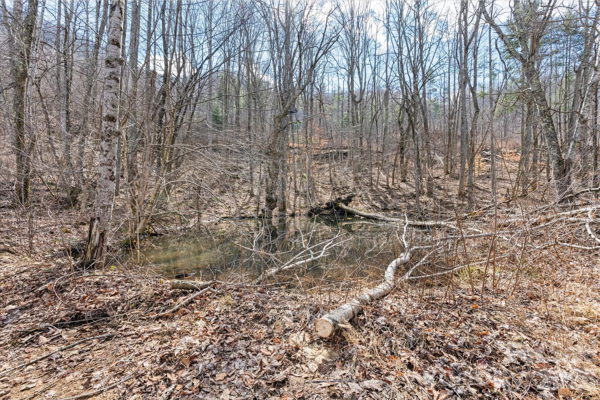 140 Wild Mountain Lane Barnardsville NC 28709