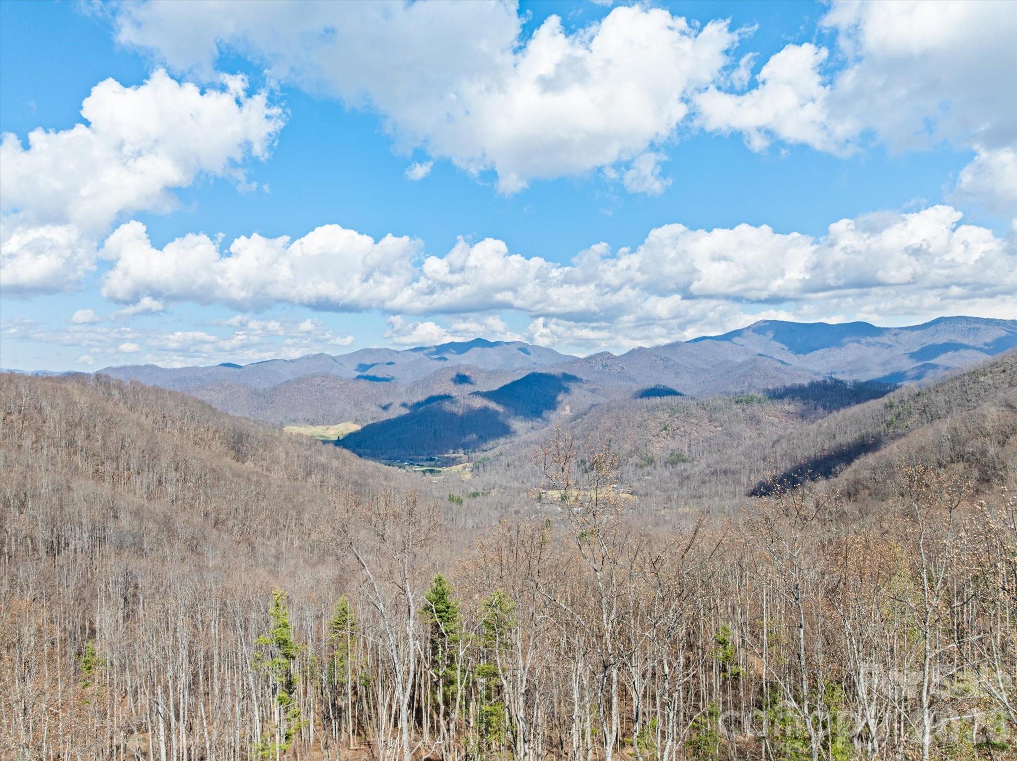 140 Wild Mountain Lane Barnardsville NC 28709
