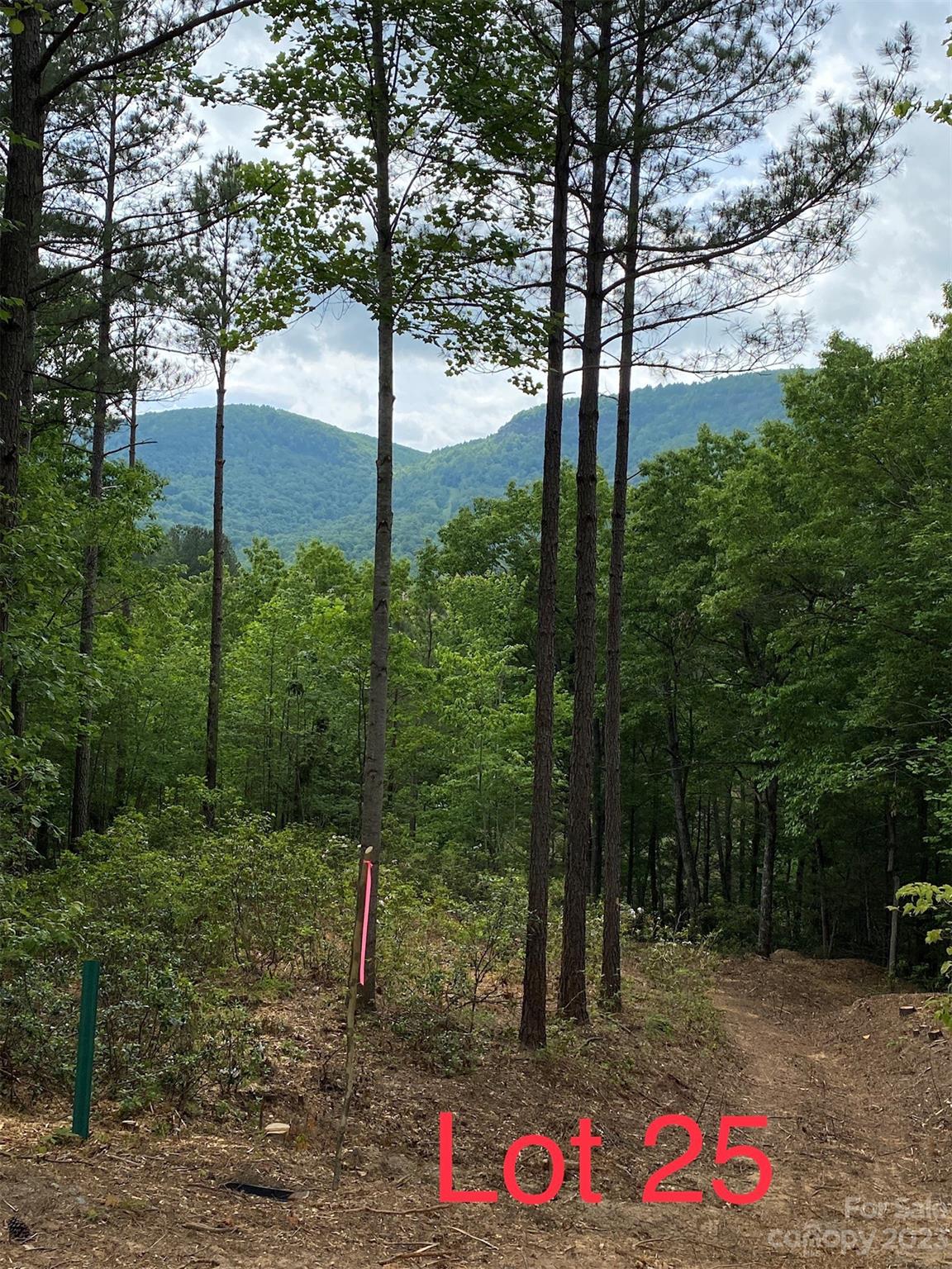 Lot 25 Monteith Place Mill Spring NC 28756