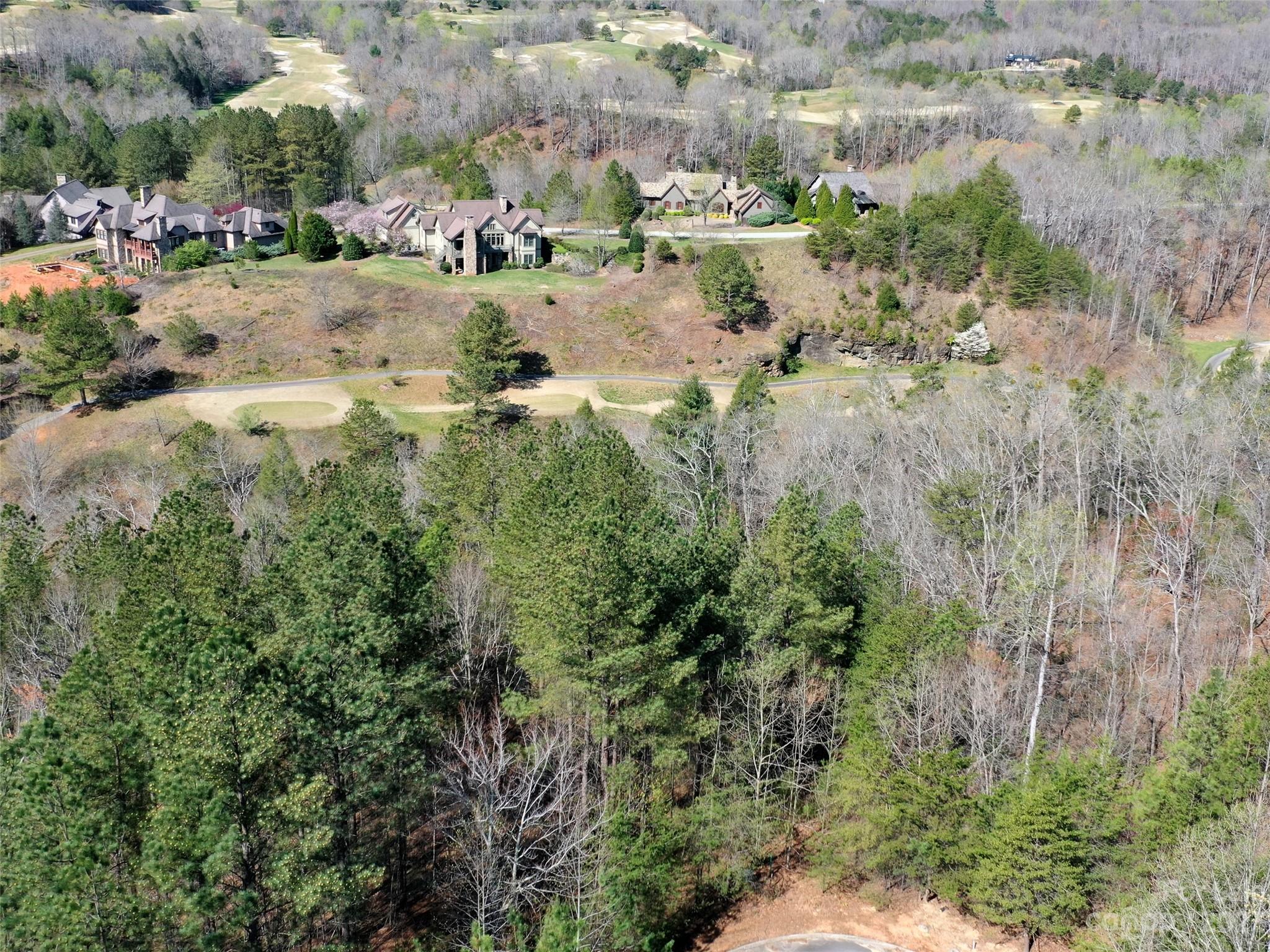 Lot 25 Monteith Place Mill Spring NC 28756