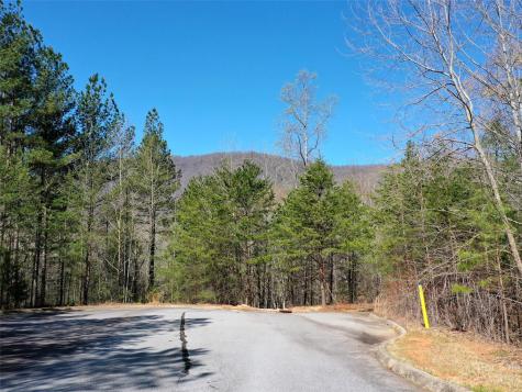 Lot 25 Monteith Place Mill Spring NC 28756
