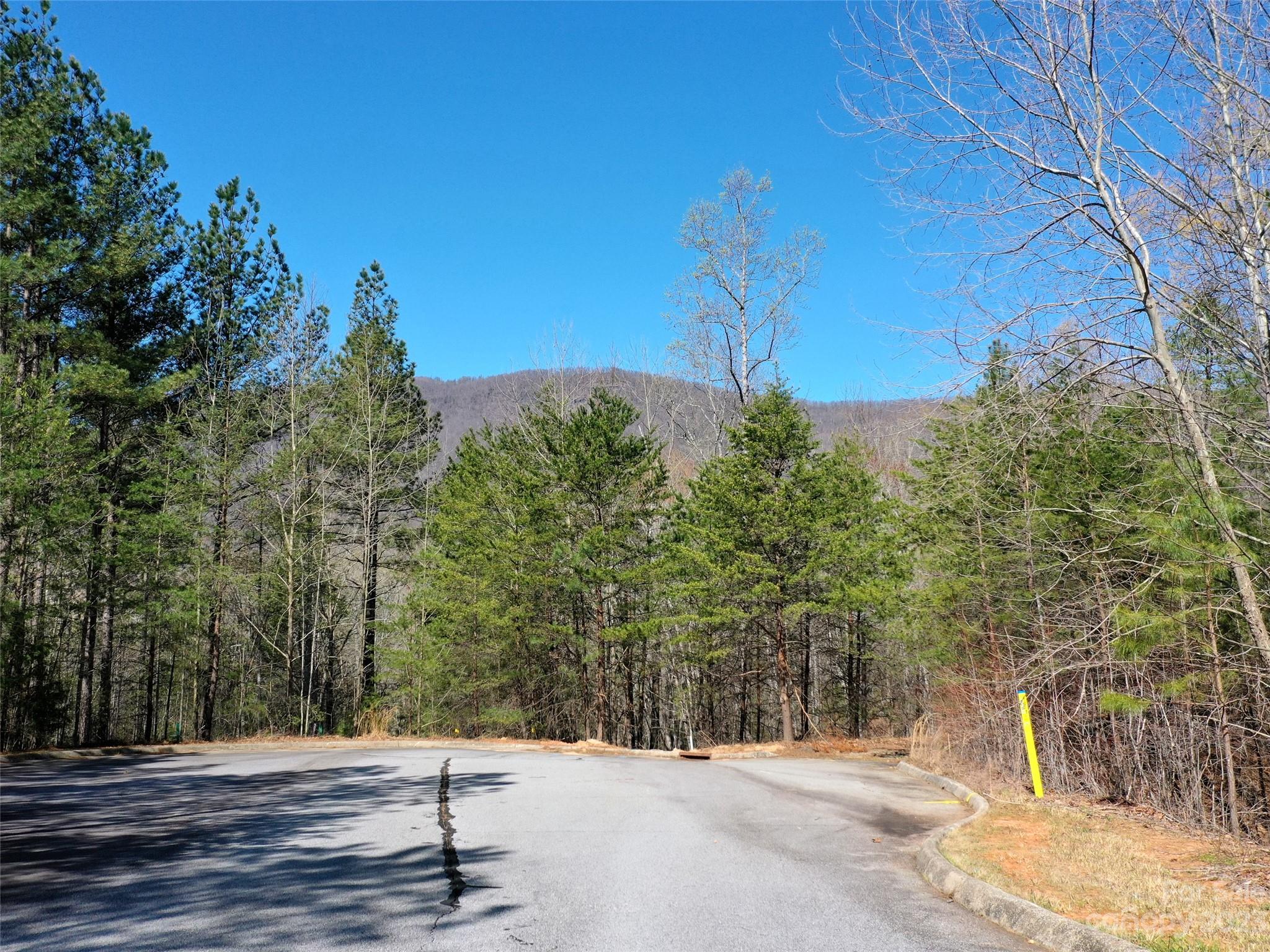 Lot 25 Monteith Place Mill Spring NC 28756