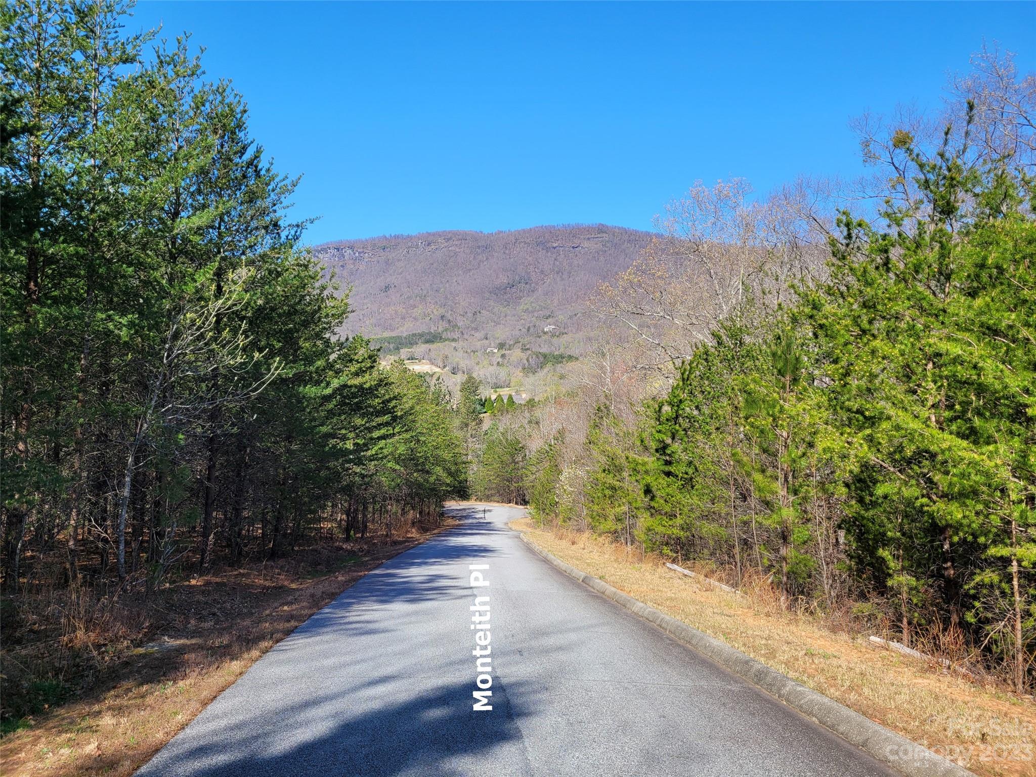 Lot 25 Monteith Place Mill Spring NC 28756