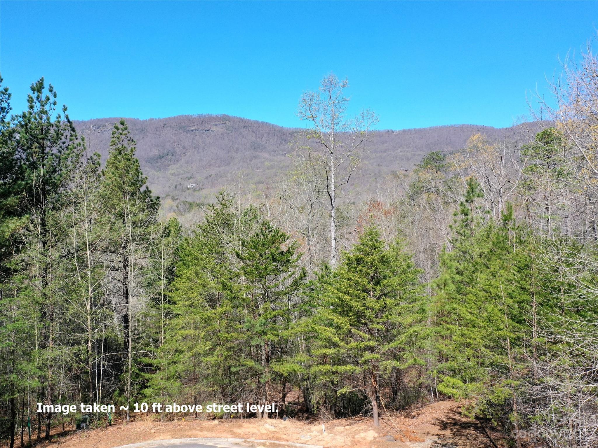 Lot 25 Monteith Place Mill Spring NC 28756