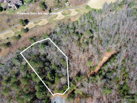 Lot 25 Monteith Place Mill Spring NC 28756