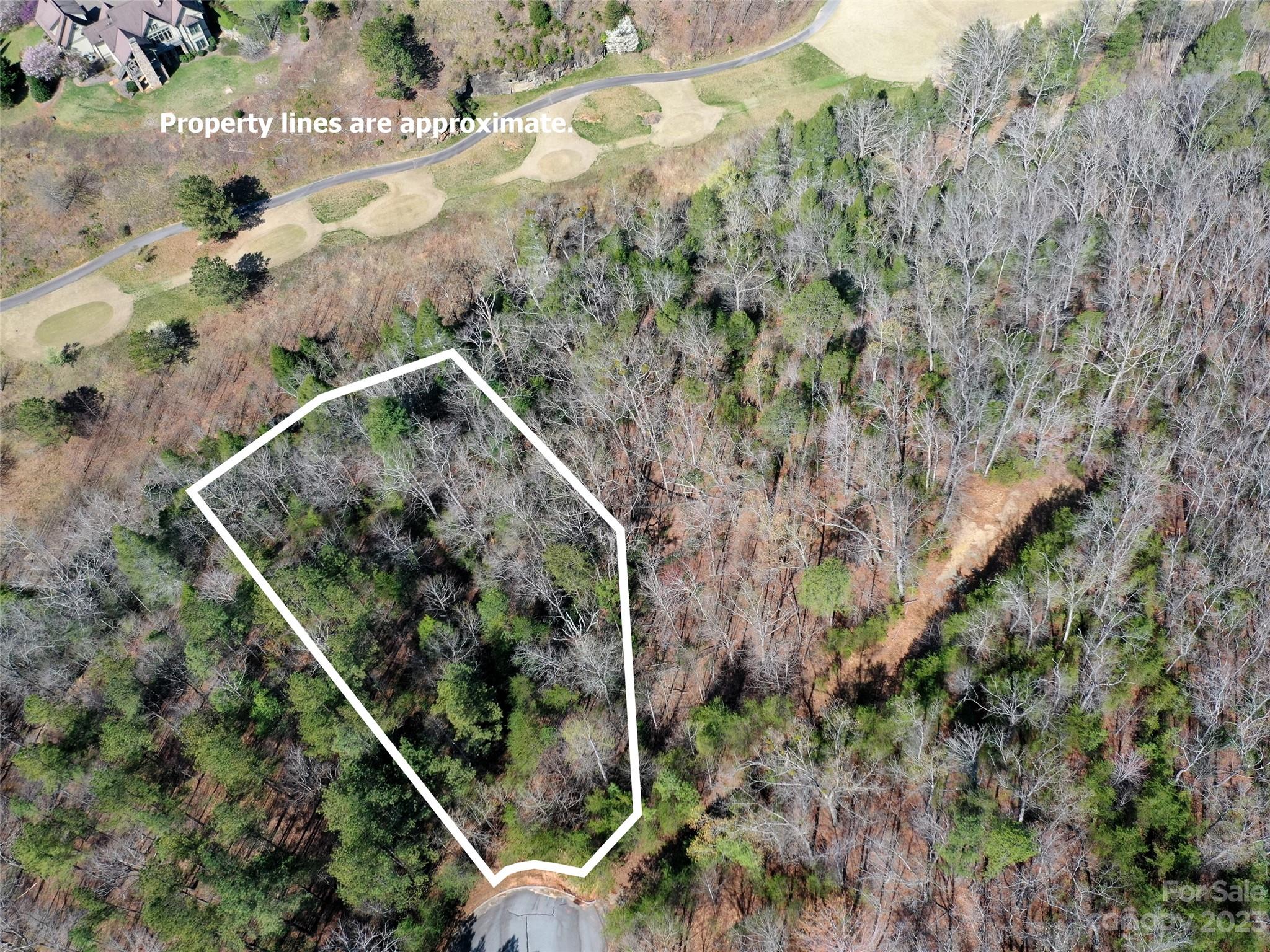 Lot 25 Monteith Place Mill Spring NC 28756