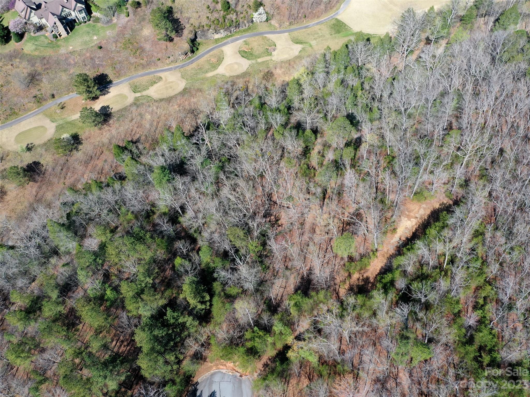 Lot 25 Monteith Place Mill Spring NC 28756