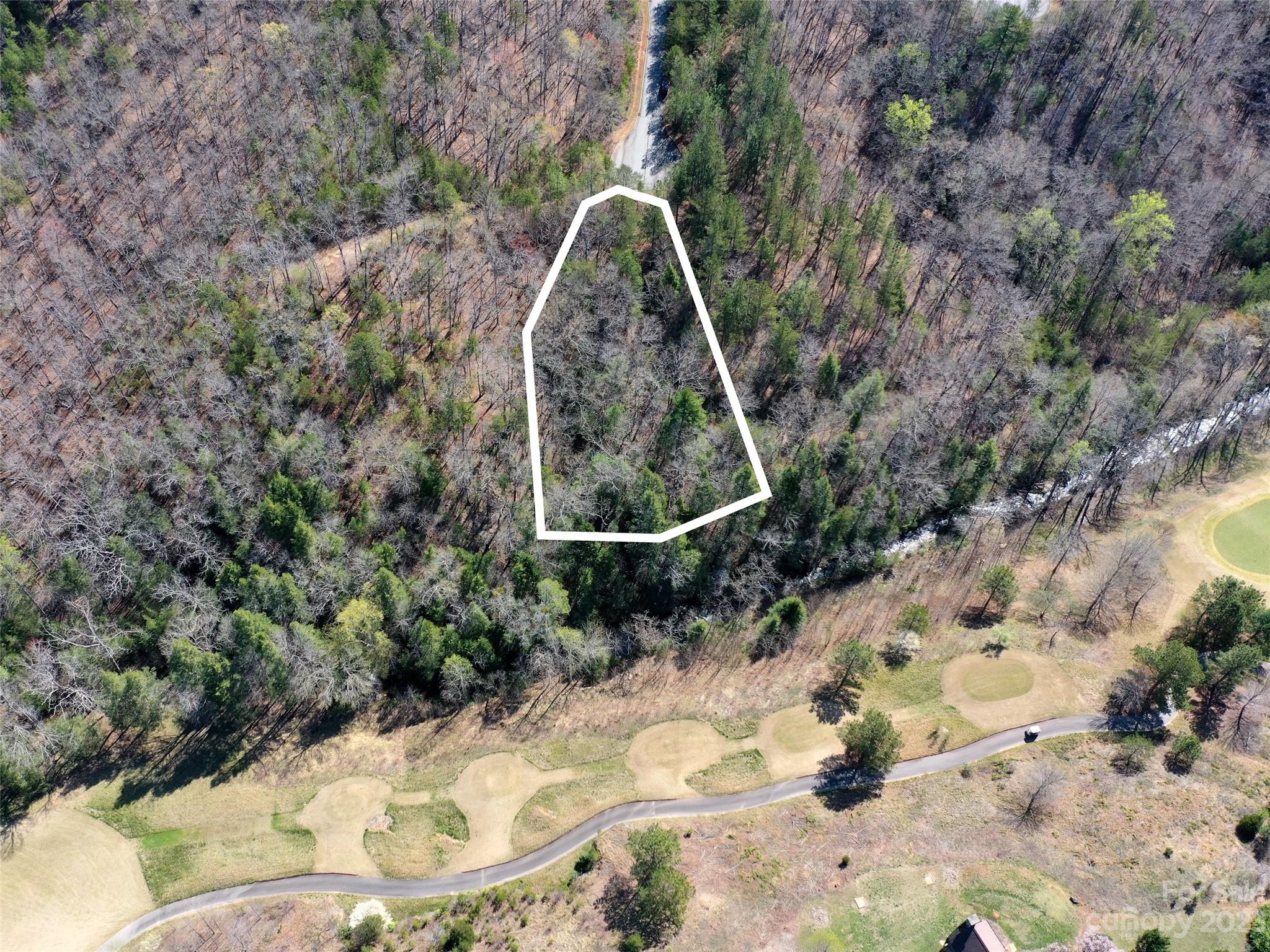 Lot 25 Monteith Place Mill Spring NC 28756
