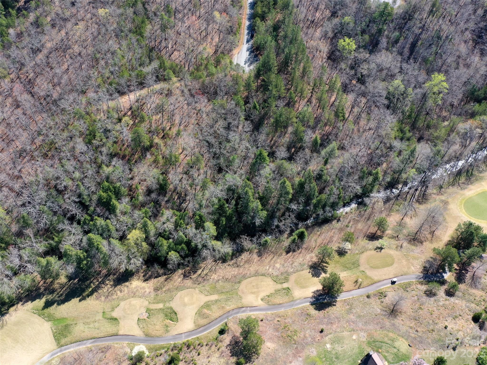 Lot 25 Monteith Place Mill Spring NC 28756
