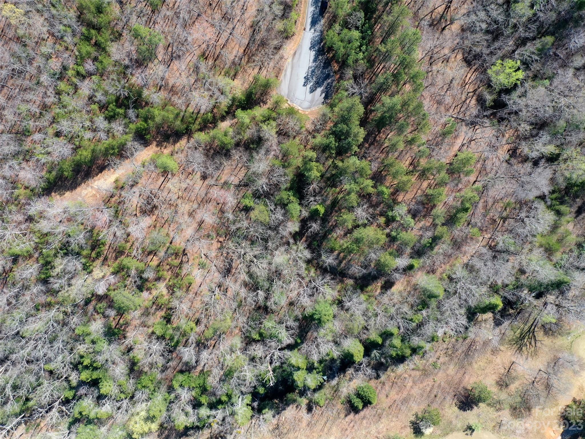 Lot 25 Monteith Place Mill Spring NC 28756