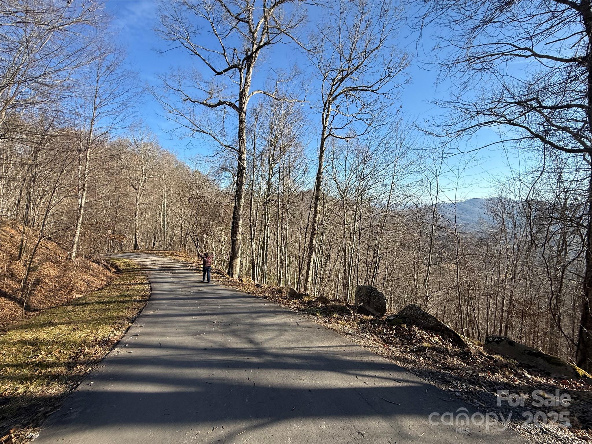 Lot 22 Brer Rabbit Trail Waynesville NC 28785