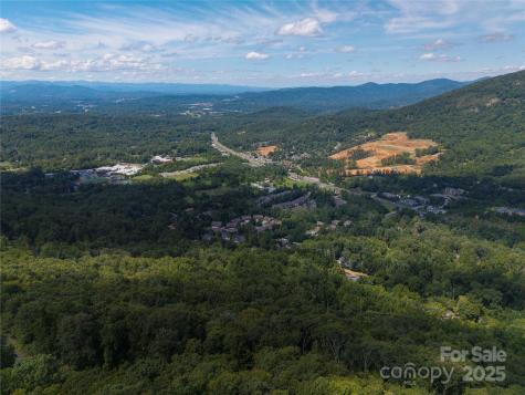 52 Castanea Mountain Drive Asheville NC 28803