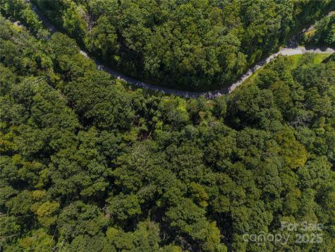 52 Castanea Mountain Drive Asheville NC 28803