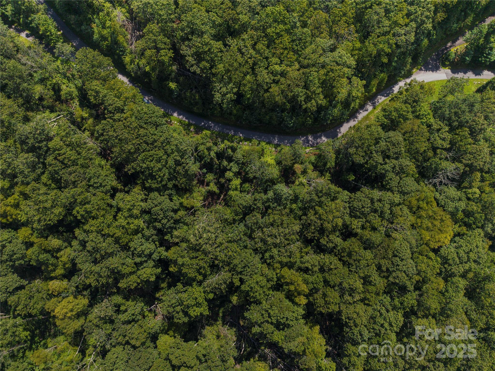 52 Castanea Mountain Drive Asheville NC 28803