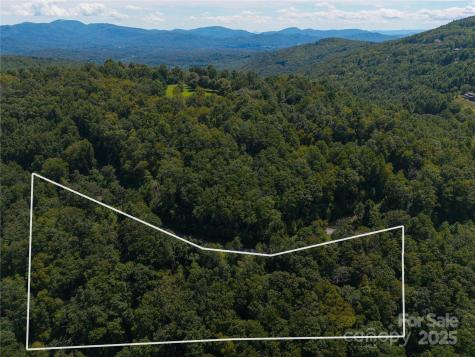 52 Castanea Mountain Drive Asheville NC 28803