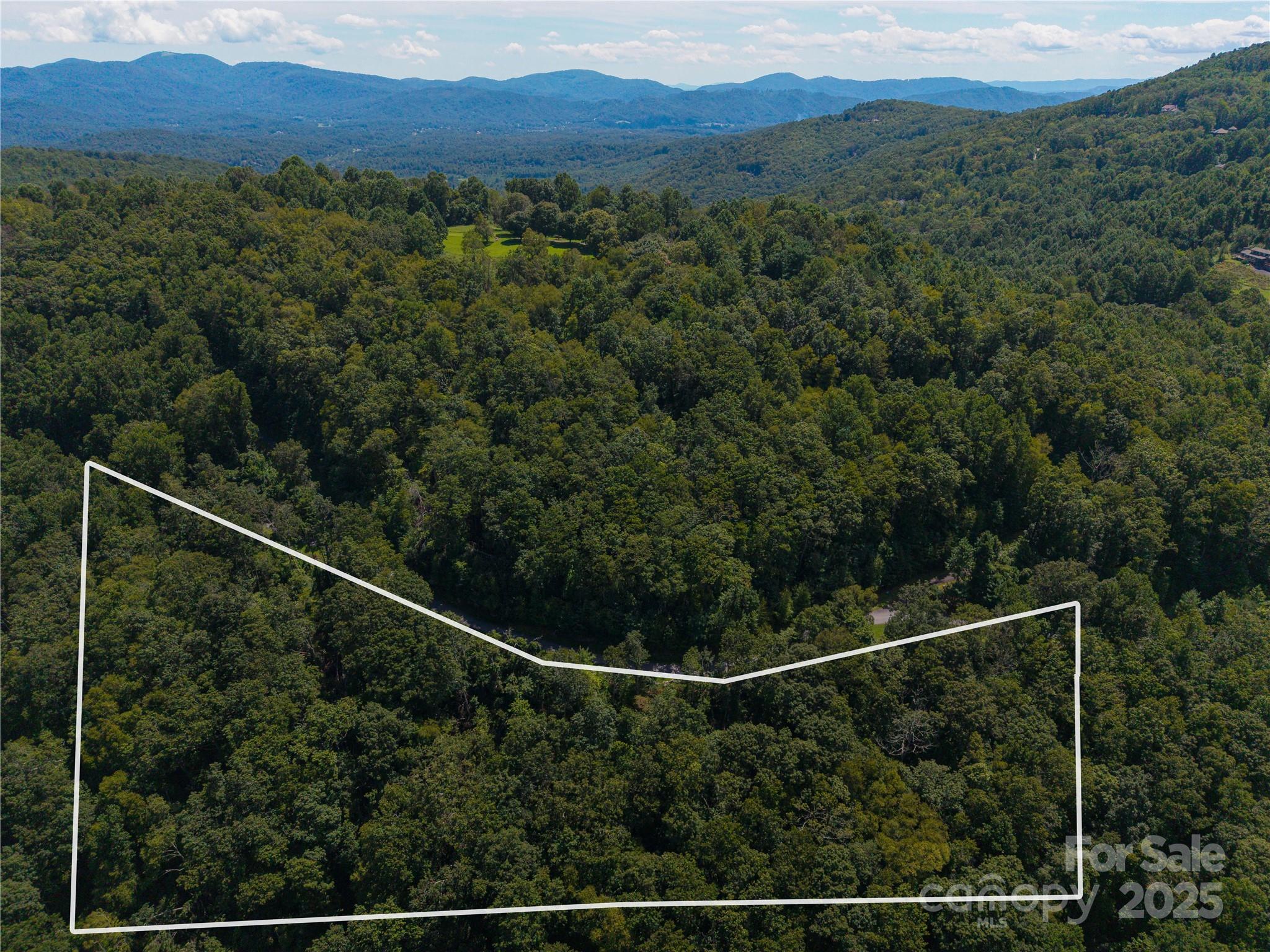52 Castanea Mountain Drive Asheville NC 28803