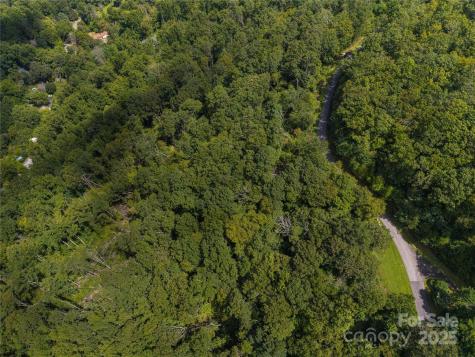 52 Castanea Mountain Drive Asheville NC 28803