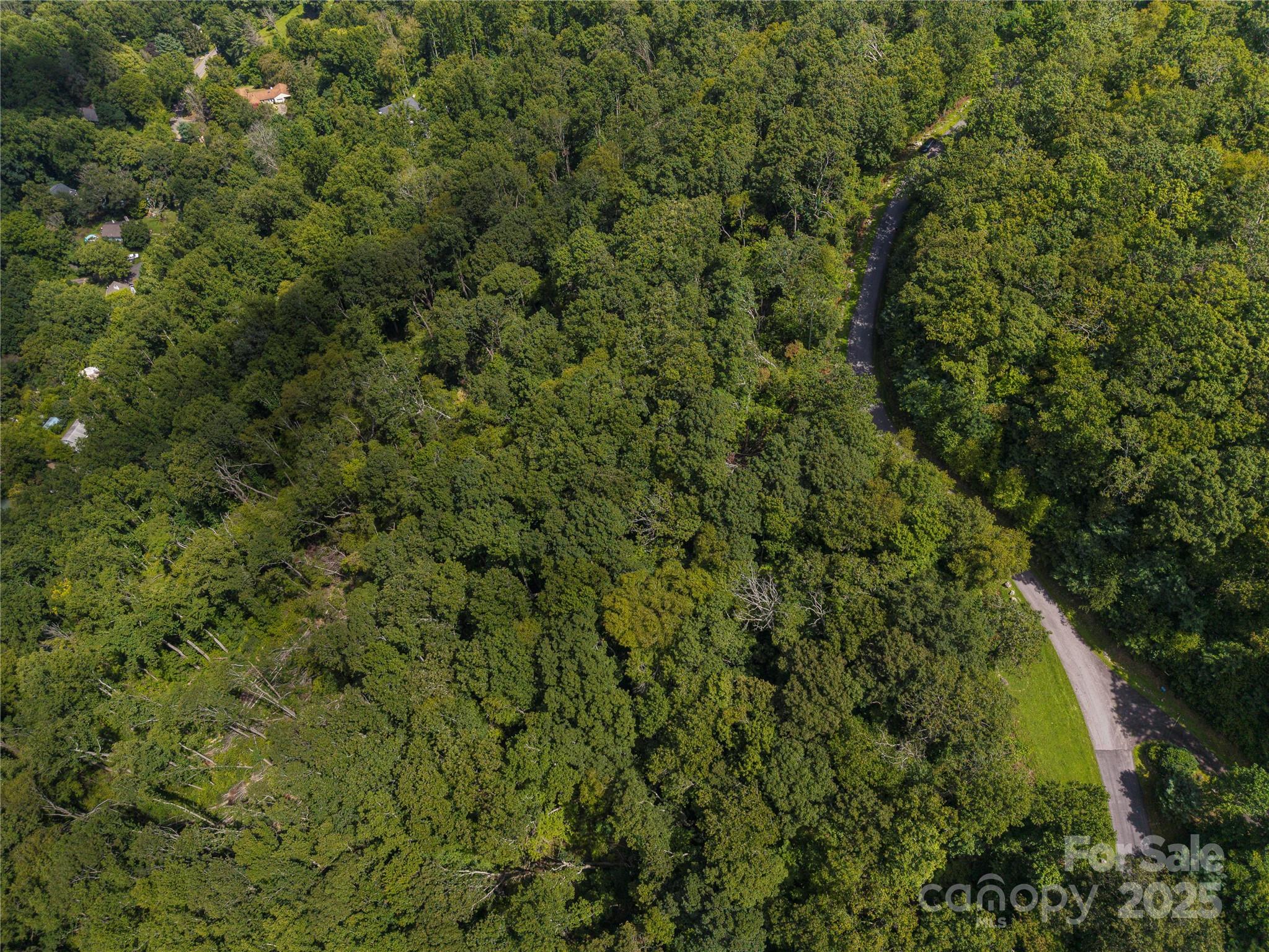 52 Castanea Mountain Drive Asheville NC 28803