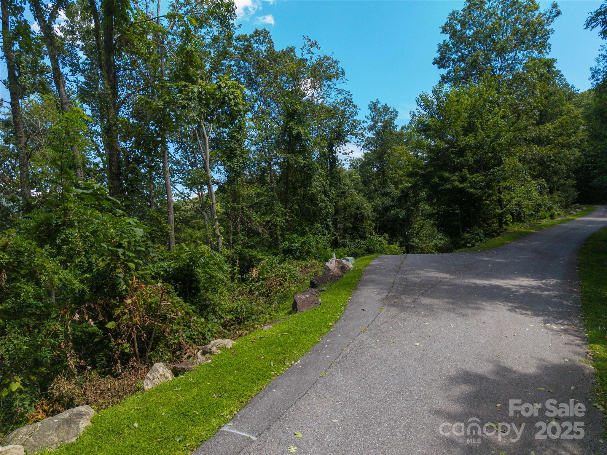 52 Castanea Mountain Drive Asheville NC 28803