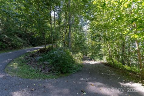 52 Castanea Mountain Drive Asheville NC 28803
