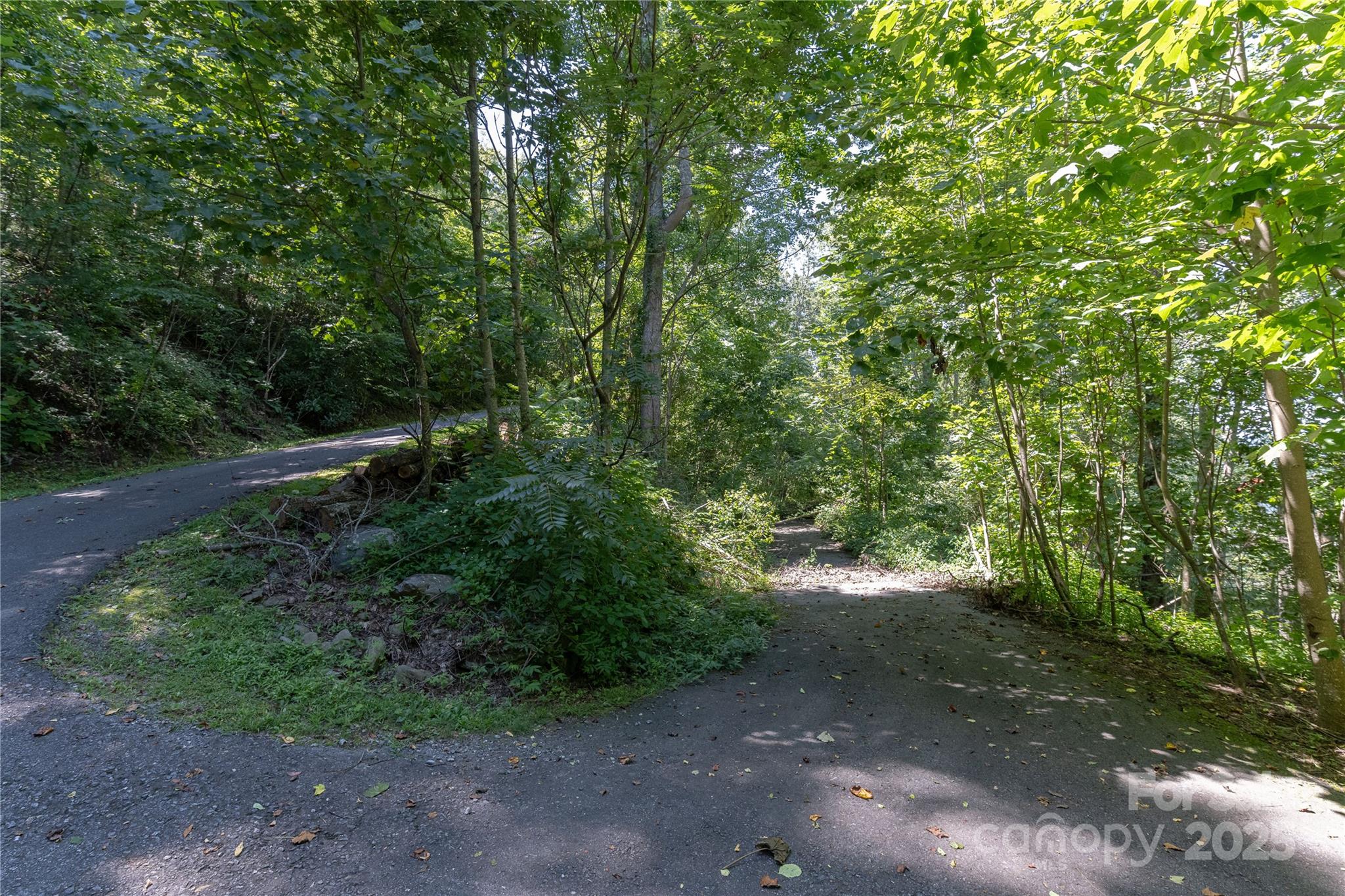 52 Castanea Mountain Drive Asheville NC 28803