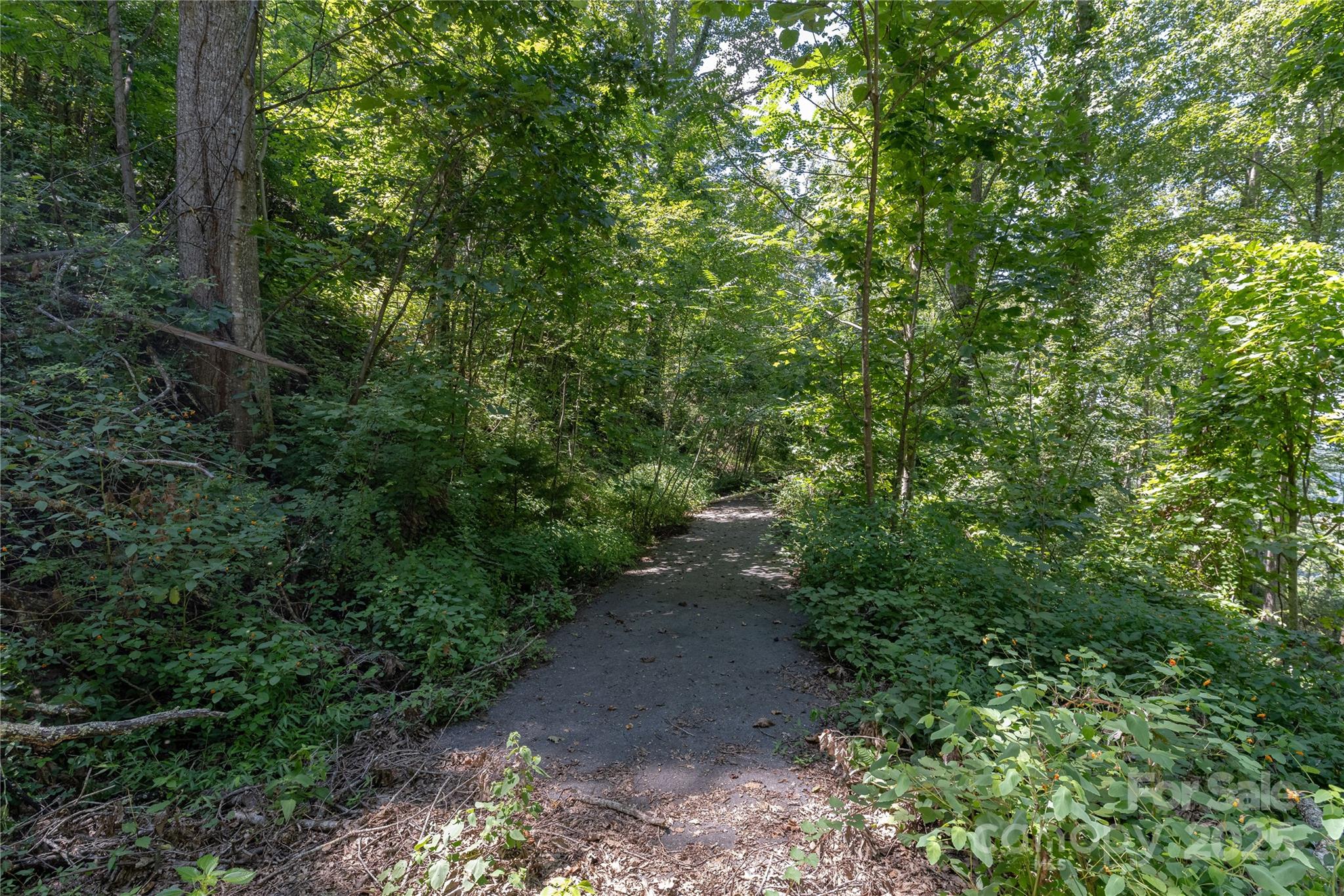 52 Castanea Mountain Drive Asheville NC 28803