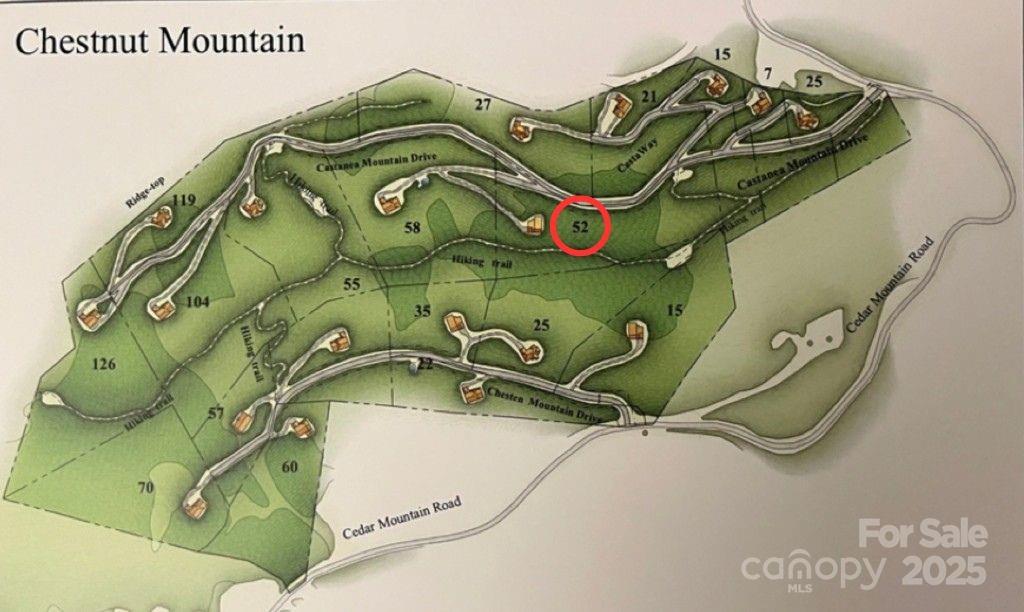 52 Castanea Mountain Drive Asheville NC 28803