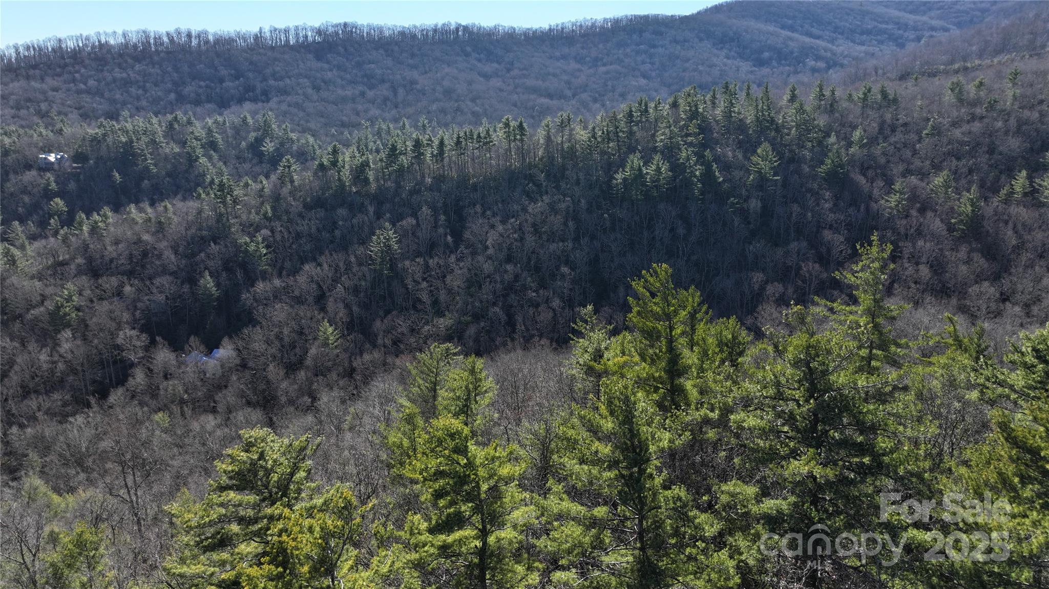 Tbd Pine Point Road Spruce Pine NC 28777