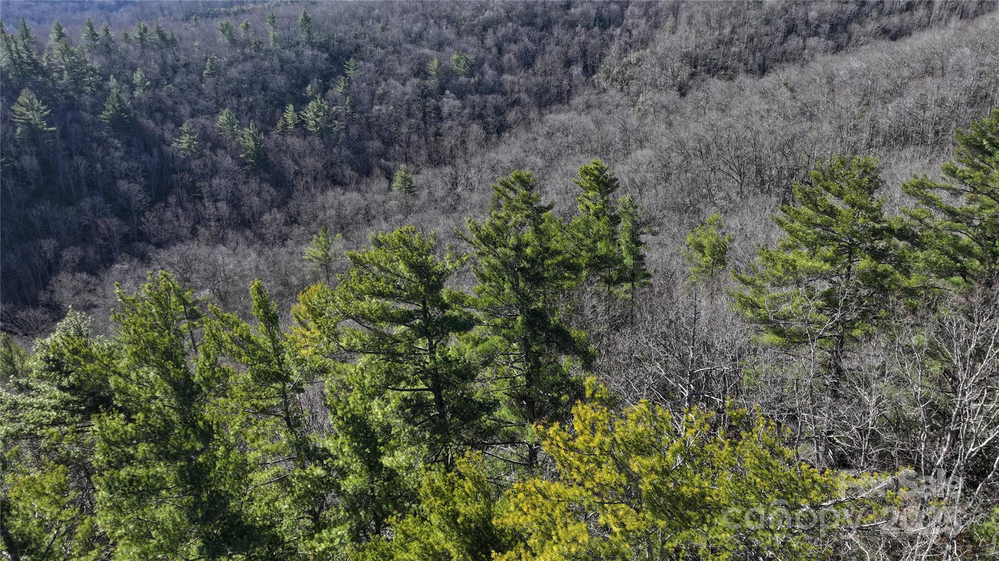 Tbd Pine Point Road Spruce Pine NC 28777