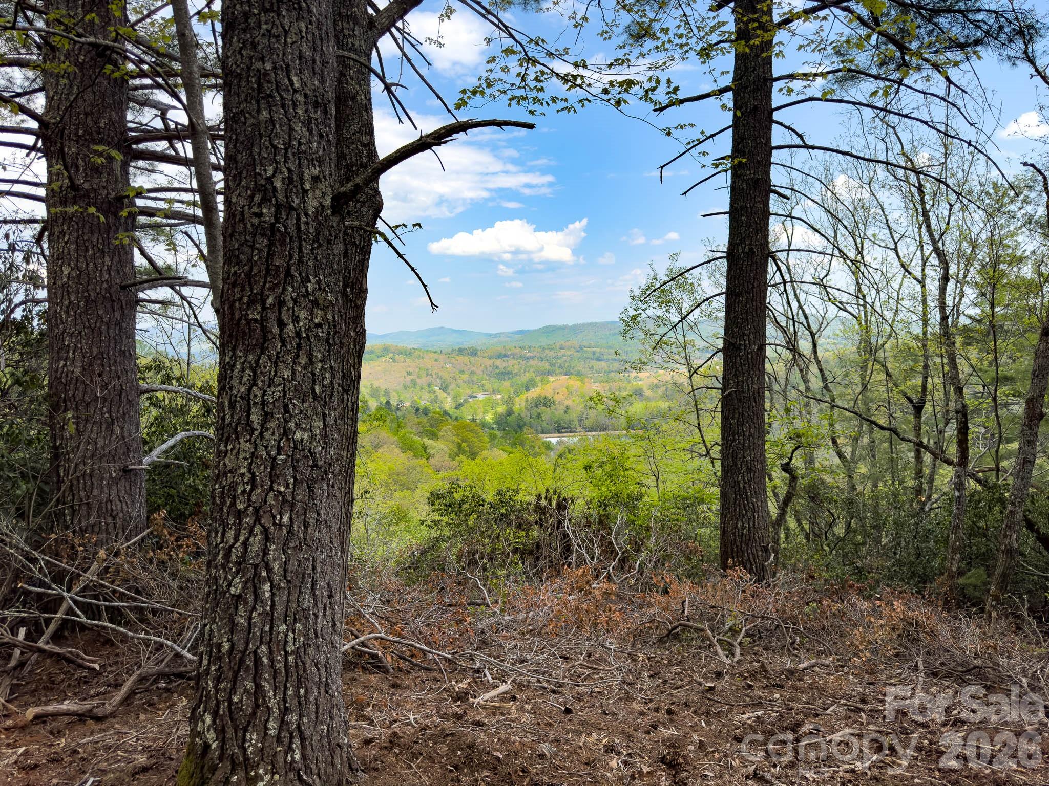 Tbd Pine Point Road Spruce Pine NC 28777